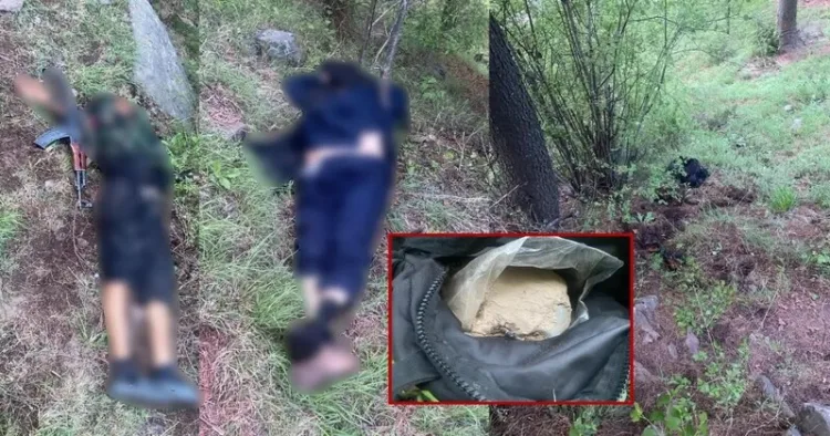 Two terrorists killed as Army foils infiltration bid in Baramulla