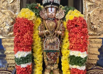 Tiruppan Alwar deity