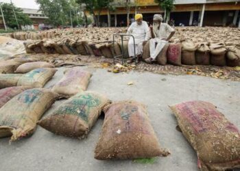 Farmers sitting in protest in Amritsar on Friday