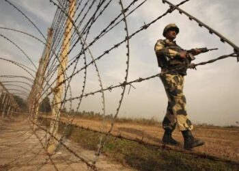 A representative image