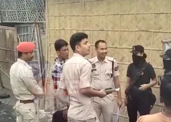 Assam: 16 arrested in illegal cow slaughtering cases