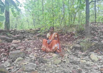 Jharkhand’s Green Saviour Mary Surin Who Quenches A Forest’s Thirst Creating Patthar Dam (Image: ETV Bharat)