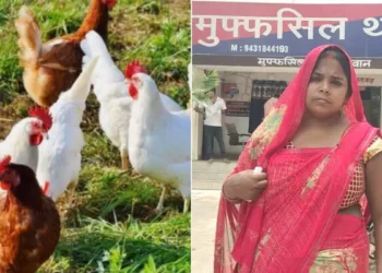 Hen 'Murdered' In Bihar's Siwan After Dispute Over Eggs, Case Registered Against Three Of A Family (Photo: ETV Bharat)