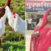 Hen 'Murdered' In Bihar's Siwan After Dispute Over Eggs, Case Registered Against Three Of A Family (Photo: ETV Bharat)