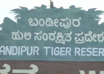 Bandipur Tiger Reserve