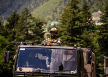 A representative image