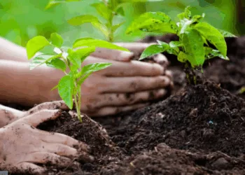 Representative Images