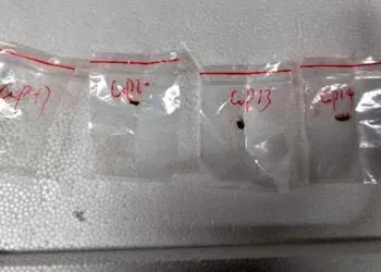 Dangerous biological pathogen