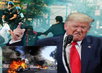US President Donald Trump calls democrat-backed immigration protests as 'radical left'