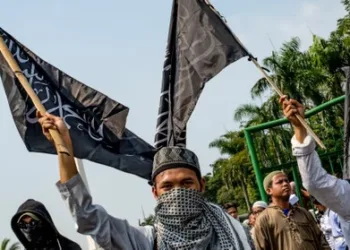 A representative image