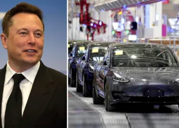 Elon Musk’s electric vehicle giant Tesla is now steering into the Indian market