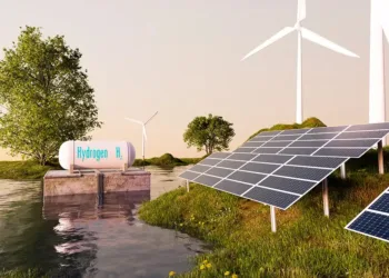 A representative image