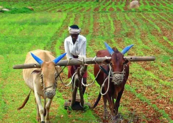 A representative image