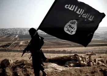 A representative image