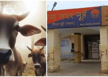 Representative image (Source: OpIndia)