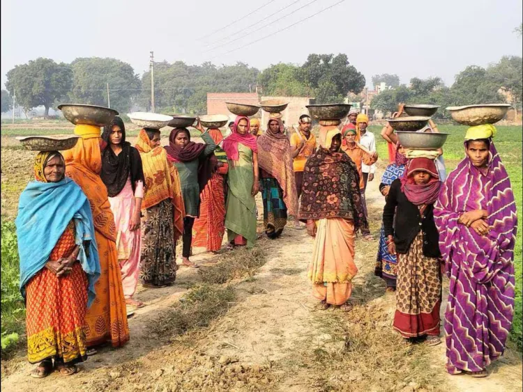 A representative image