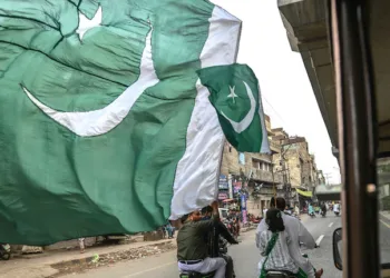 A representative image