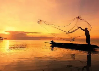 A representative image