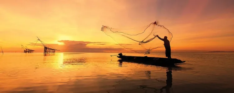 A representative image