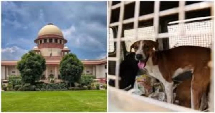 Supreme Court has stayed its verdict due to hue and cry from the dog lovers