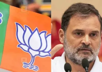 BJP tears into Rahul Gandhi over voter fraud claims