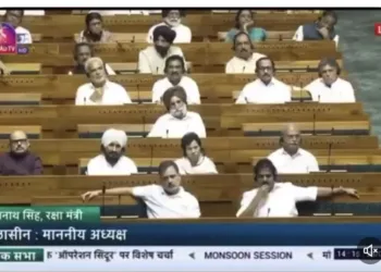 Rahul Gandhi and Congress MP's in Parliament