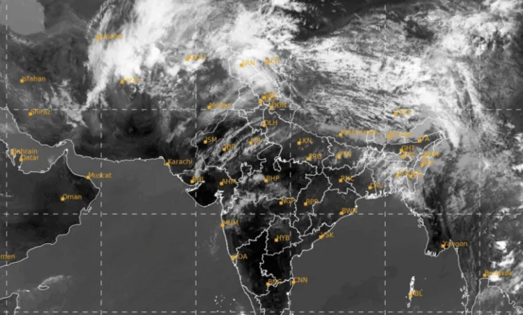 A representative image