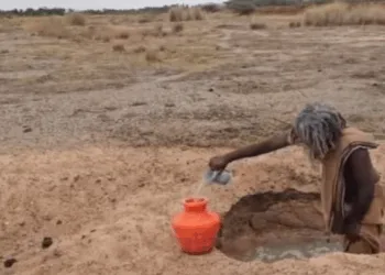 Only one person left in Naatakudi as the village joins the list of Ghost Villages in Tamil Nadu (Image Source X)