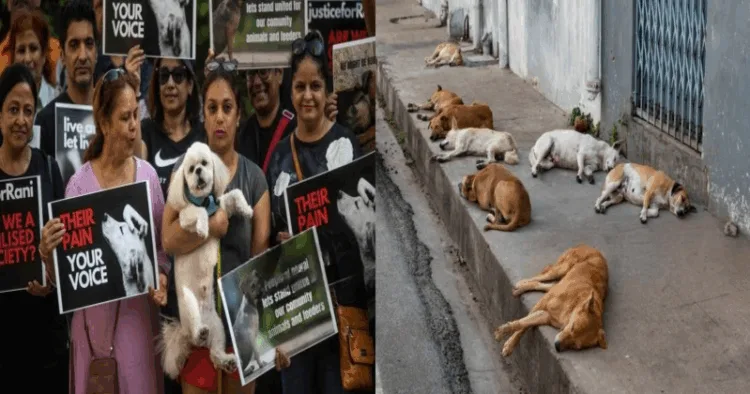 (Left) People holding dogs (Right) Stray dogs lying on the footpath