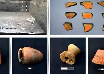 Archaeological findings reveal 3,000-year-old civilisation