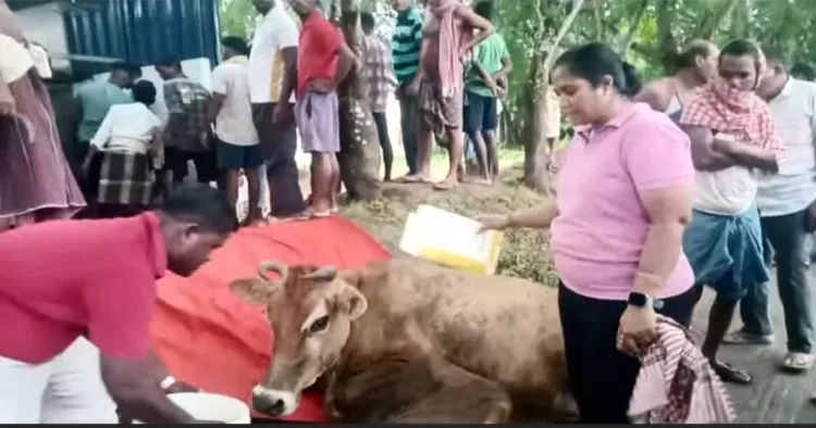 Odisha’s Jajpur district is fast emerging as a hub for cattle smuggling, with repeated incidents exposing administrative lapses