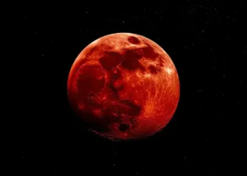 A representative image