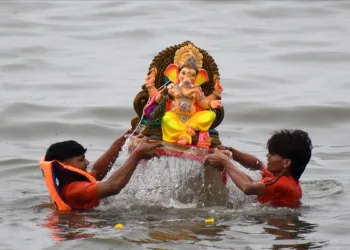 A representative image