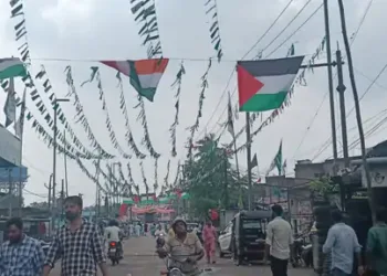 Palestinian flags during Eid Milad-un-Nabi processions