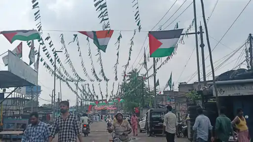 Palestinian flags during Eid Milad-un-Nabi processions
