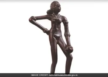 Ashoka University Professor arrested over theft allegations