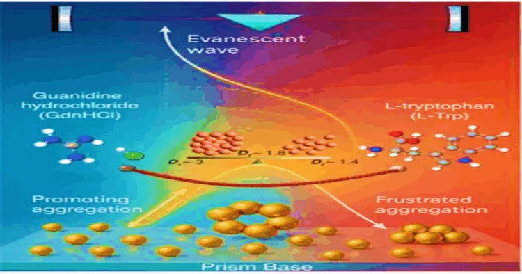 The graphic shows real-time monitoring of gold nanoparticle aggregation using EW-CRDS, where the evanescent wave probes GdnHCl-induced aggregation and its alteration by L-Trp, resulting in frustrated aggregation