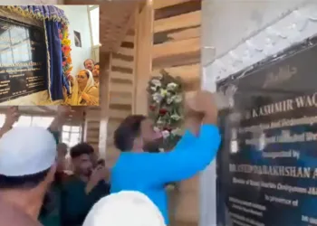 Screengrab from the viral video