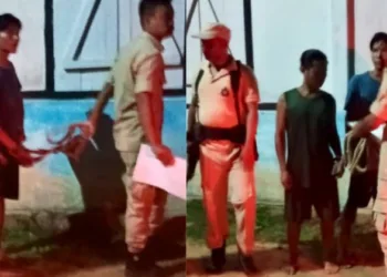 Kuki militant arrested by Assam Police