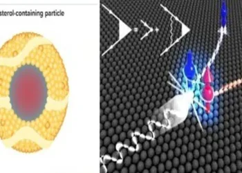 Representative Image of Cholesterol and Electron Spin to aid Quantum Devices
