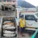 Cow Smuggling: 24 cows rescued, three pickup vans seized, three drivers arrested