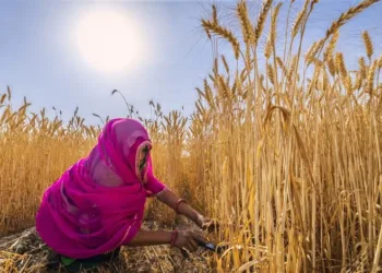 A representative image