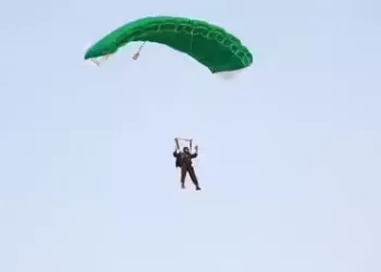 A representative image