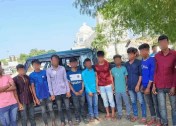 BF apprehends 21 illegal migrants