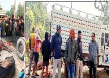 (Left) Two cattle killed (Right) Arrested cattle smugglers