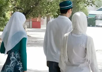 A representative image