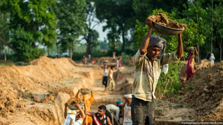 A representative image