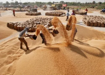 A representative image