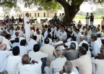 A representative image