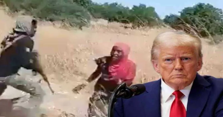 President Trump challenges Nigeria to stop Islamic terrorist violence or face swift U.S. action